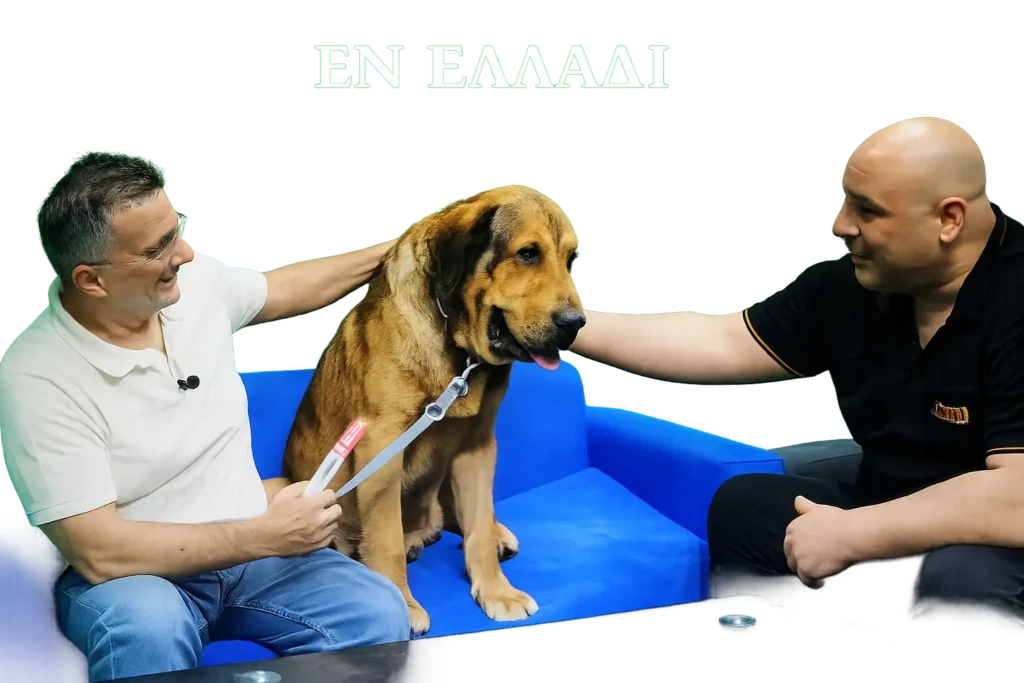 Ο Μολοσσός της Ηπείρου κινδυνεύει από τον Ραγιαδισμό