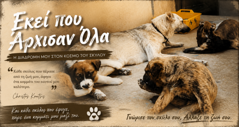 dog training christos koutsis