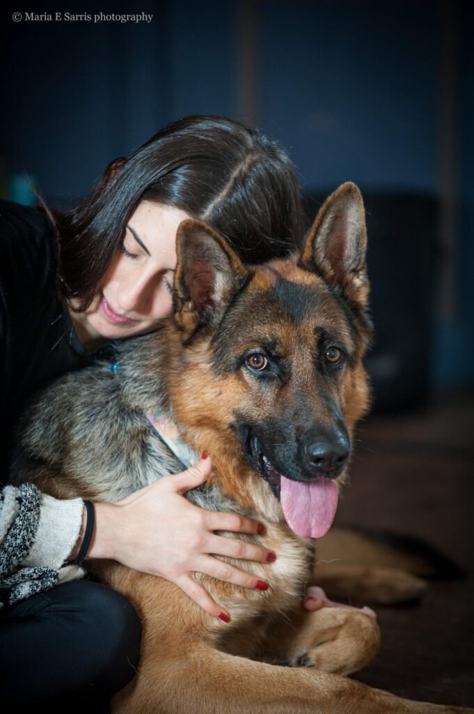 Christos Koutsis - Dog Training - εκπαίδευση σκύλων