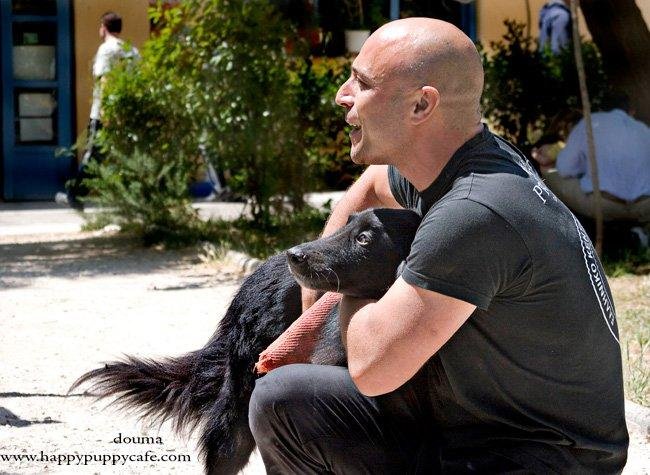 Christos Koutsis - Dog Training - dogsmind.gr