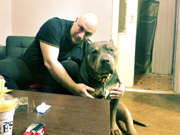 Christos Koutsis - Dog Training - εκπαίδευση σκύλων