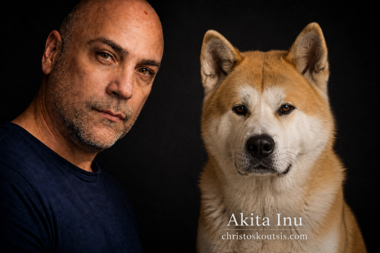 akita