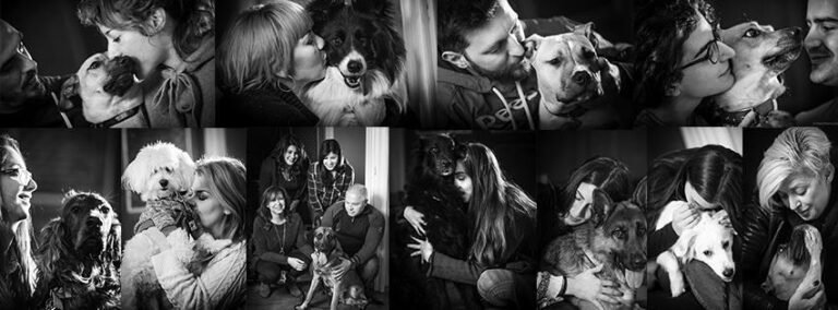 Christos Koutsis - Dog Training Εκπαίδευση Σκύλων