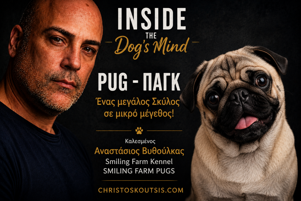 pug